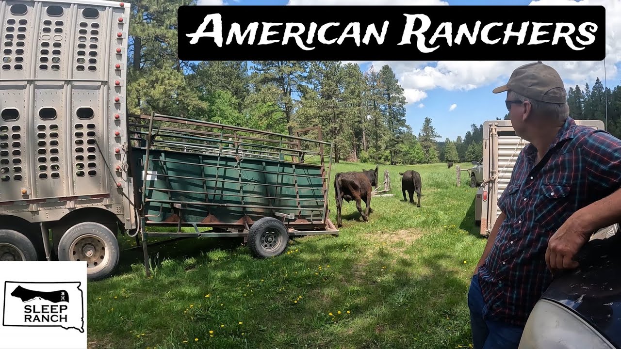 What Ranching In The U.S. Is Really Like!