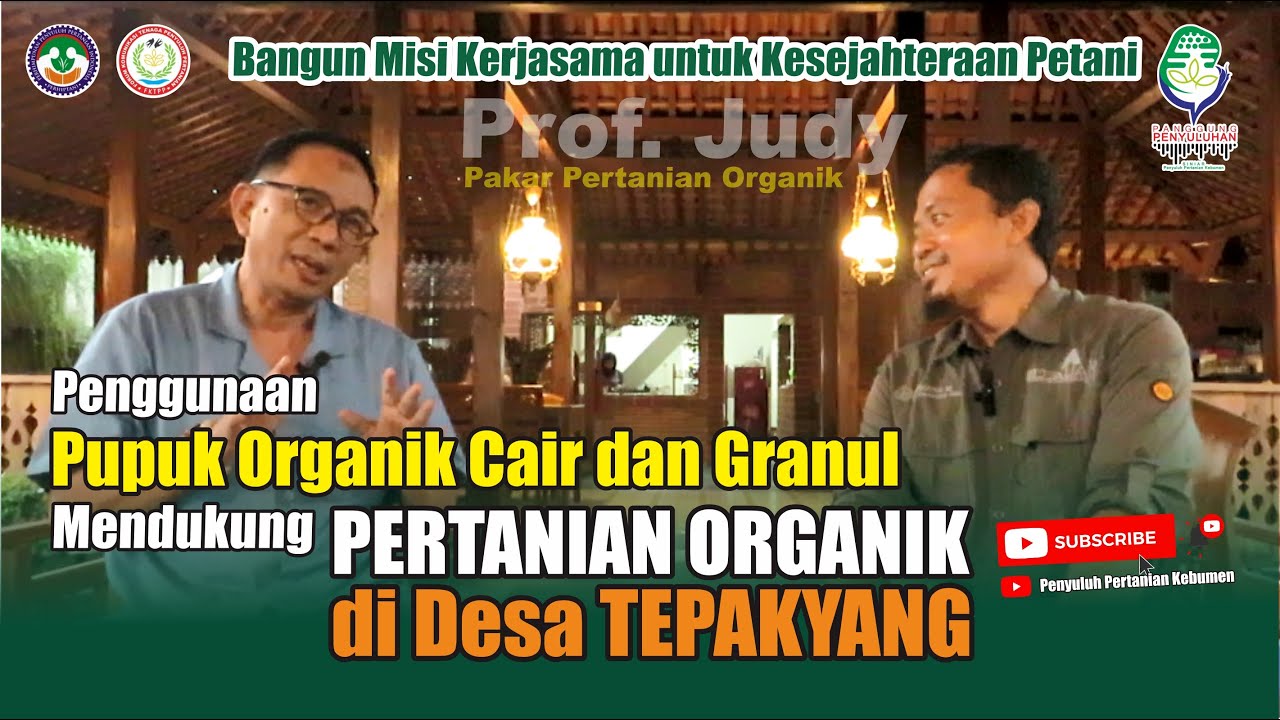 Penggunaan Pupuk ORGANIK CAIR & GRANUL Mendukung PERTANIAN ORGANIK // @trijudysukartono541
