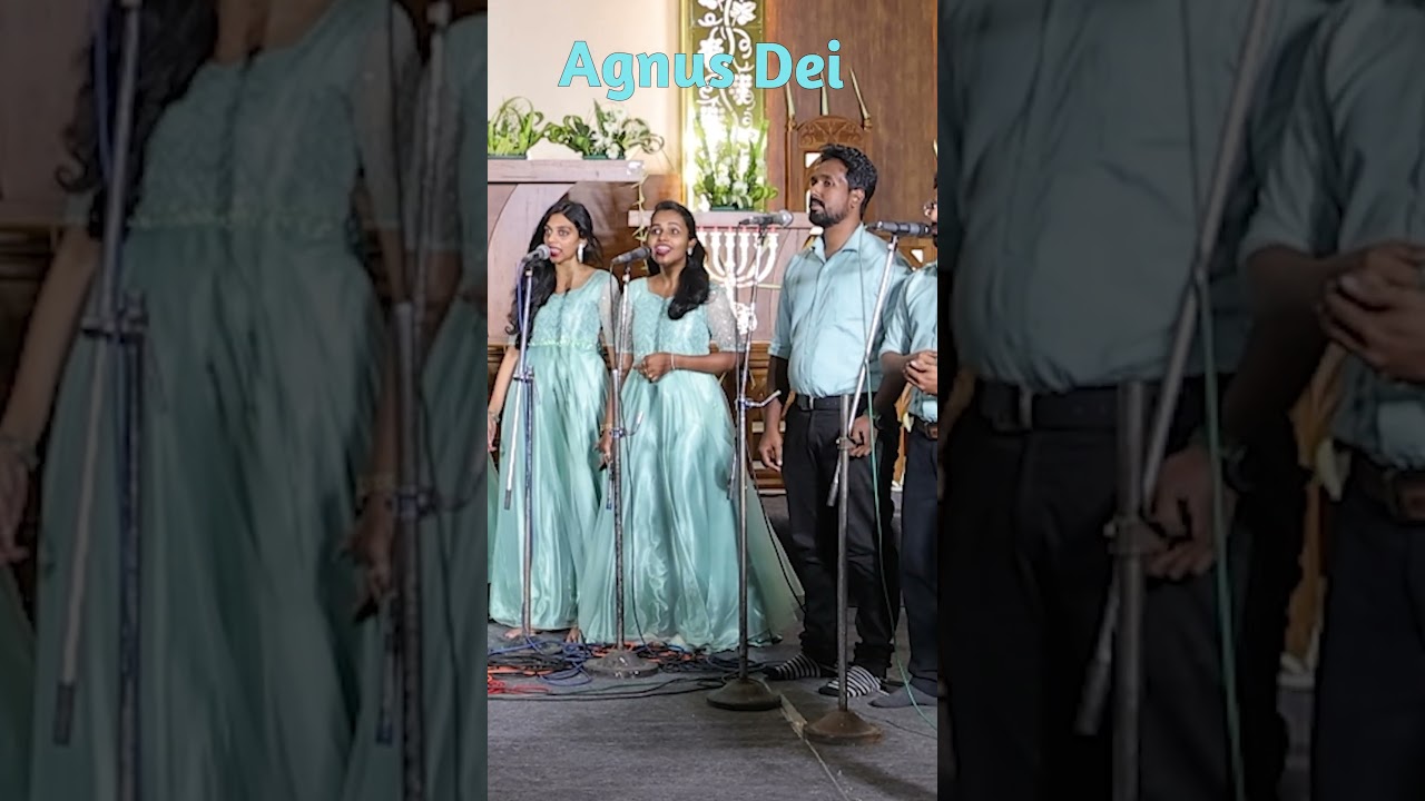 Agnus Dei💖Melodies of Love🤍Western HYMN