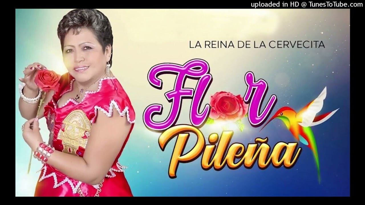 MIX FLOR PILEÑA _ DJ JANDER