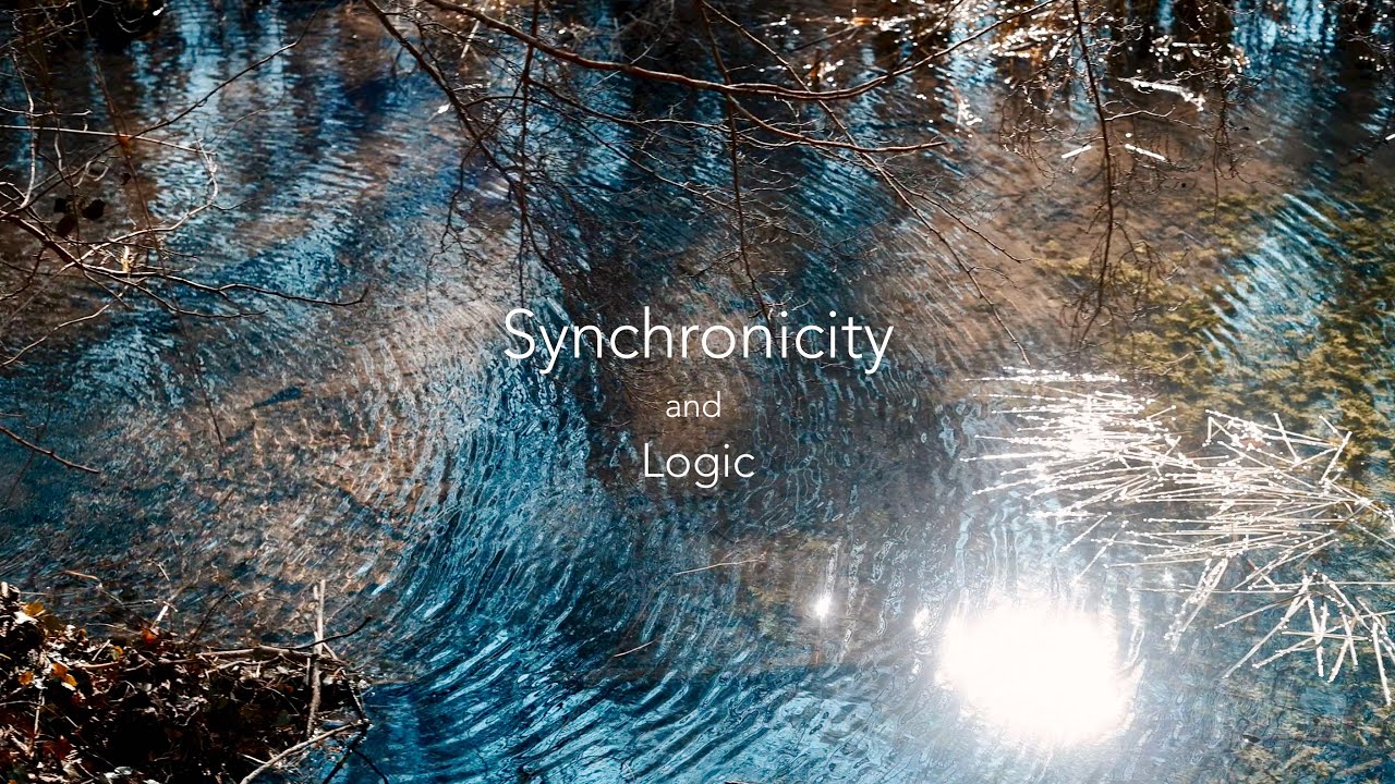 Logic and Synchronicity  - Sigma fp and Leica R