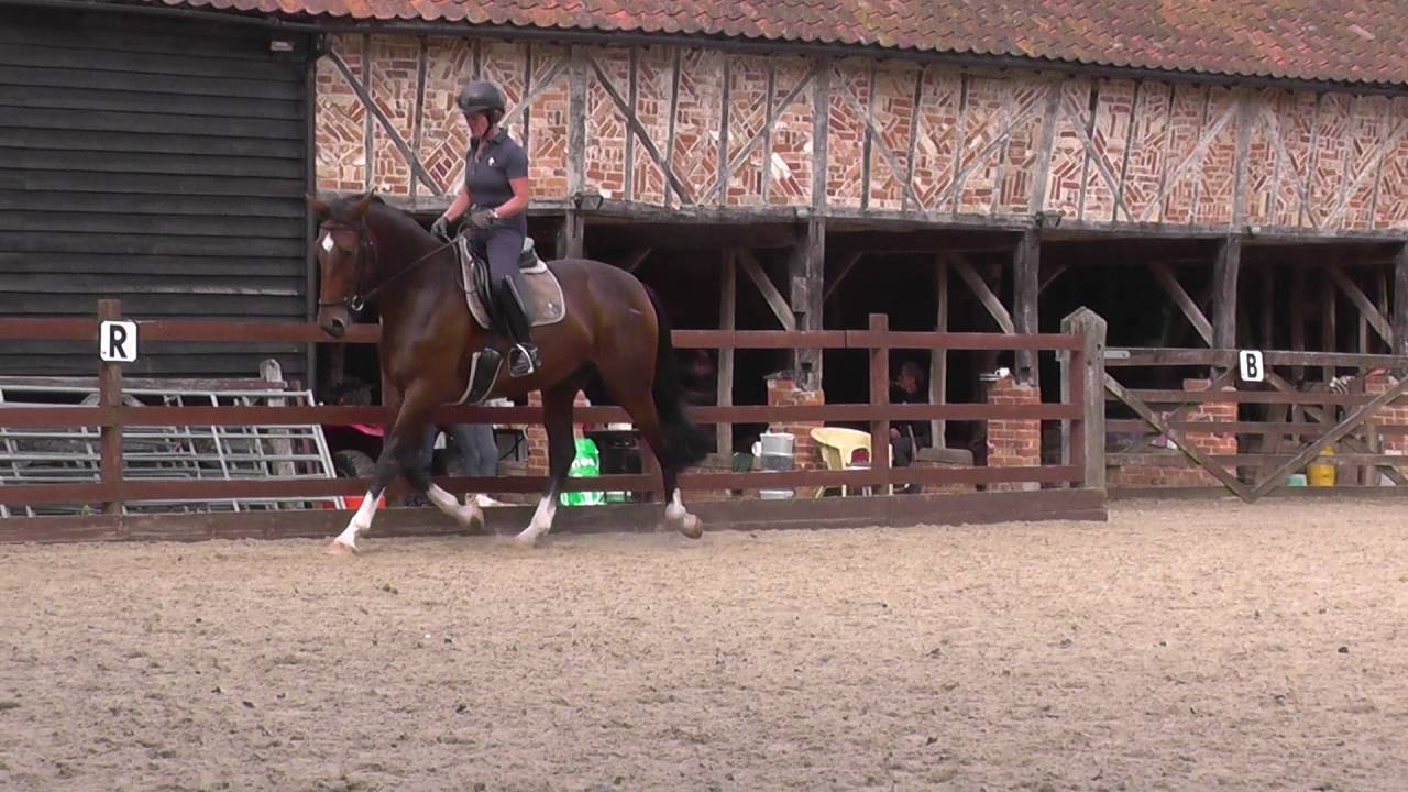 Gerd Heschmann Clinic