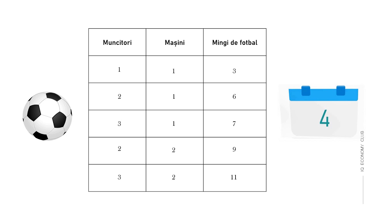 Teoria producatorului  - Factorii de productie