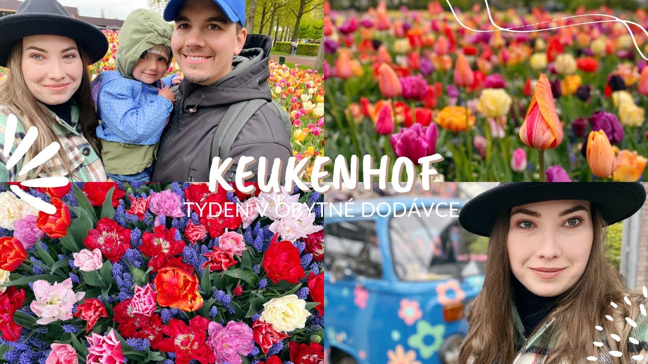 KEUKENHOF 🇳🇱 Zahrada holandských tulipánů | TÝDEN V OBYTNÉ DODÁVCE #5 🚐