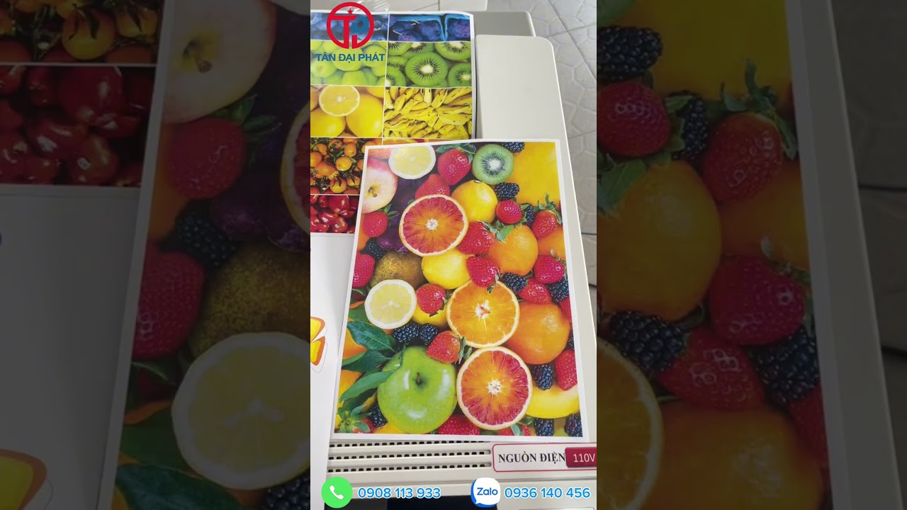 M&aacute;y In Ricoh SP C440dn - Khổ Giấy Tối Đa A4 - Nhỏ Gọn - Chuy&ecirc;n In Thiệp Cưới Gi&aacute; Rẻ