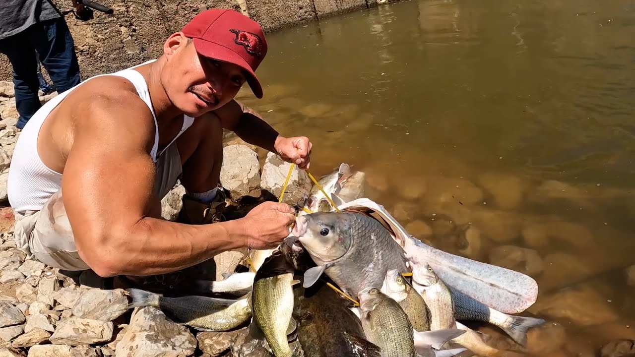 Labor Day Weekend Fishing! (MULTIPLE SPECIES)