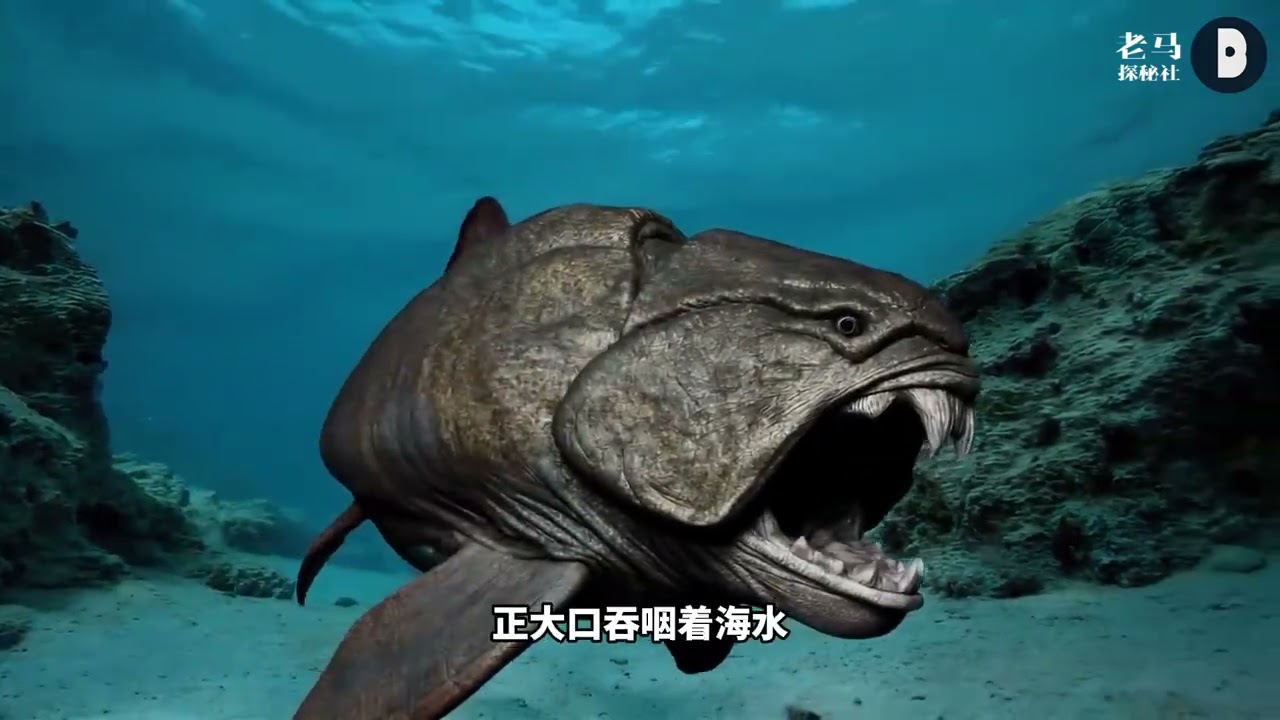 如果地球陆地全是森林，会发生什么？