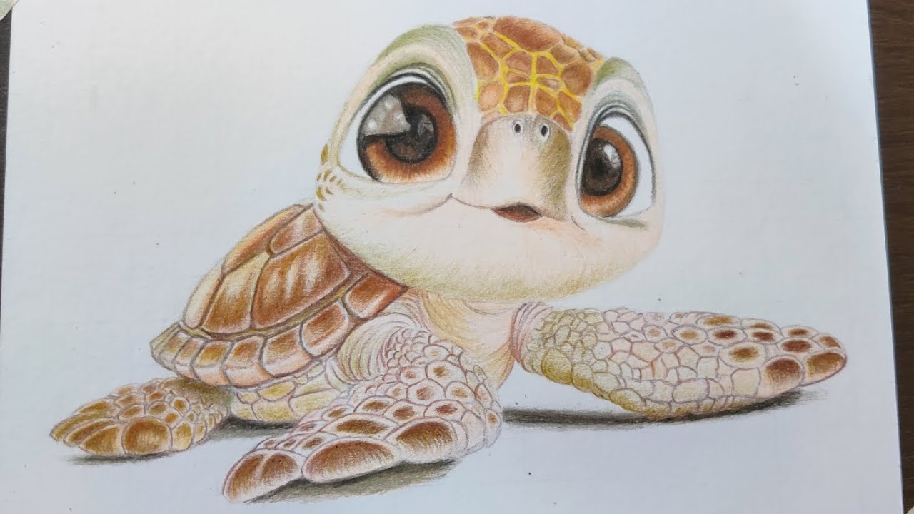 Colour Pencils turtle artwork #artcommunity #pencilportrsit #comissionwork #art