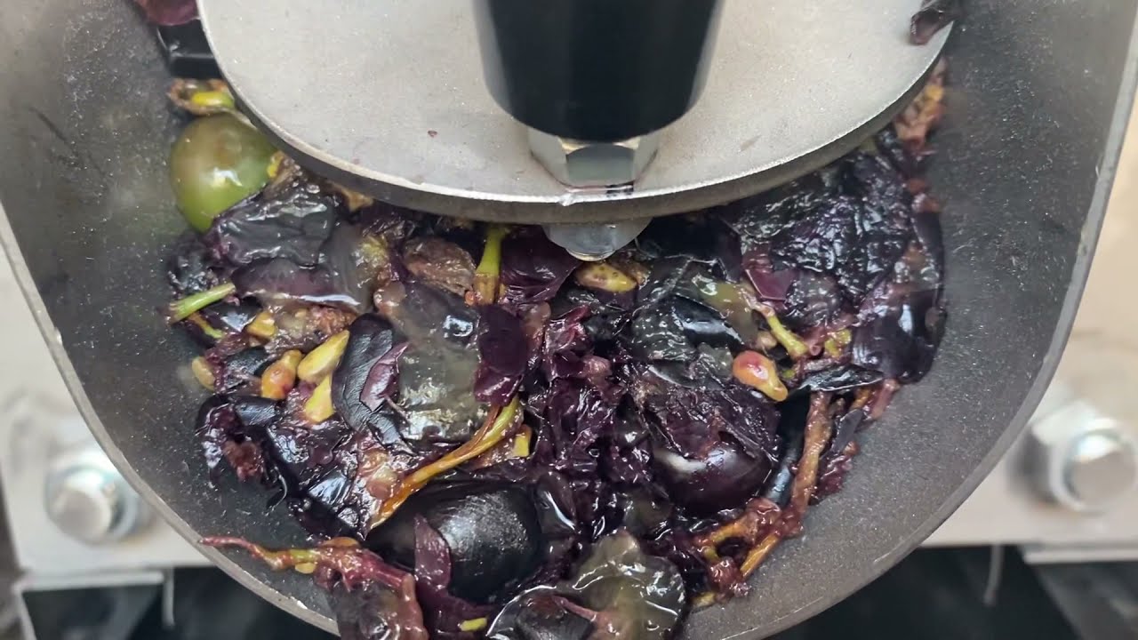 Ev Tipi Üzüm Sıkma Makinesi Erk250  | household grape squeezing machine |
