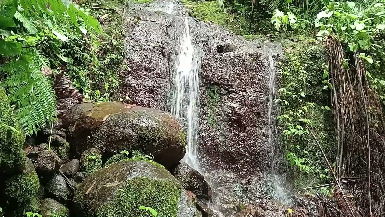 Relaxing Forest Waterfall Sounds | Natural Water Ambience for Sleep & Focus