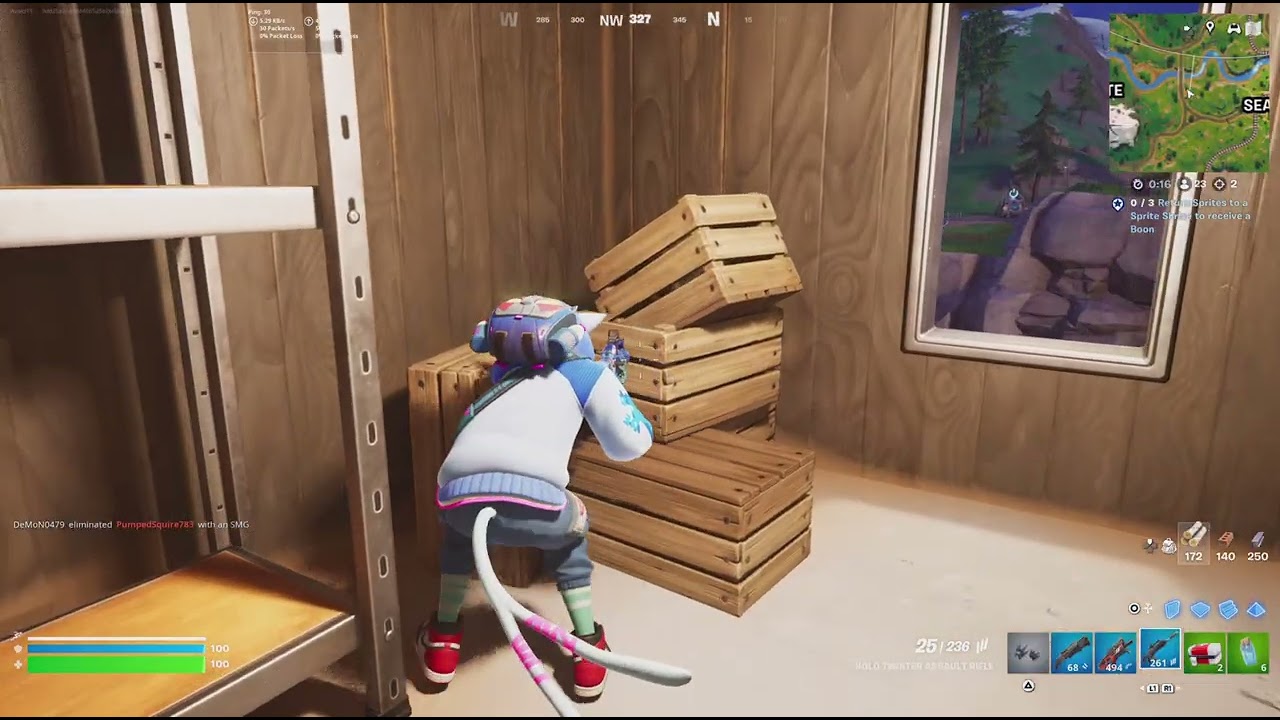 Fortnite_20241202150539