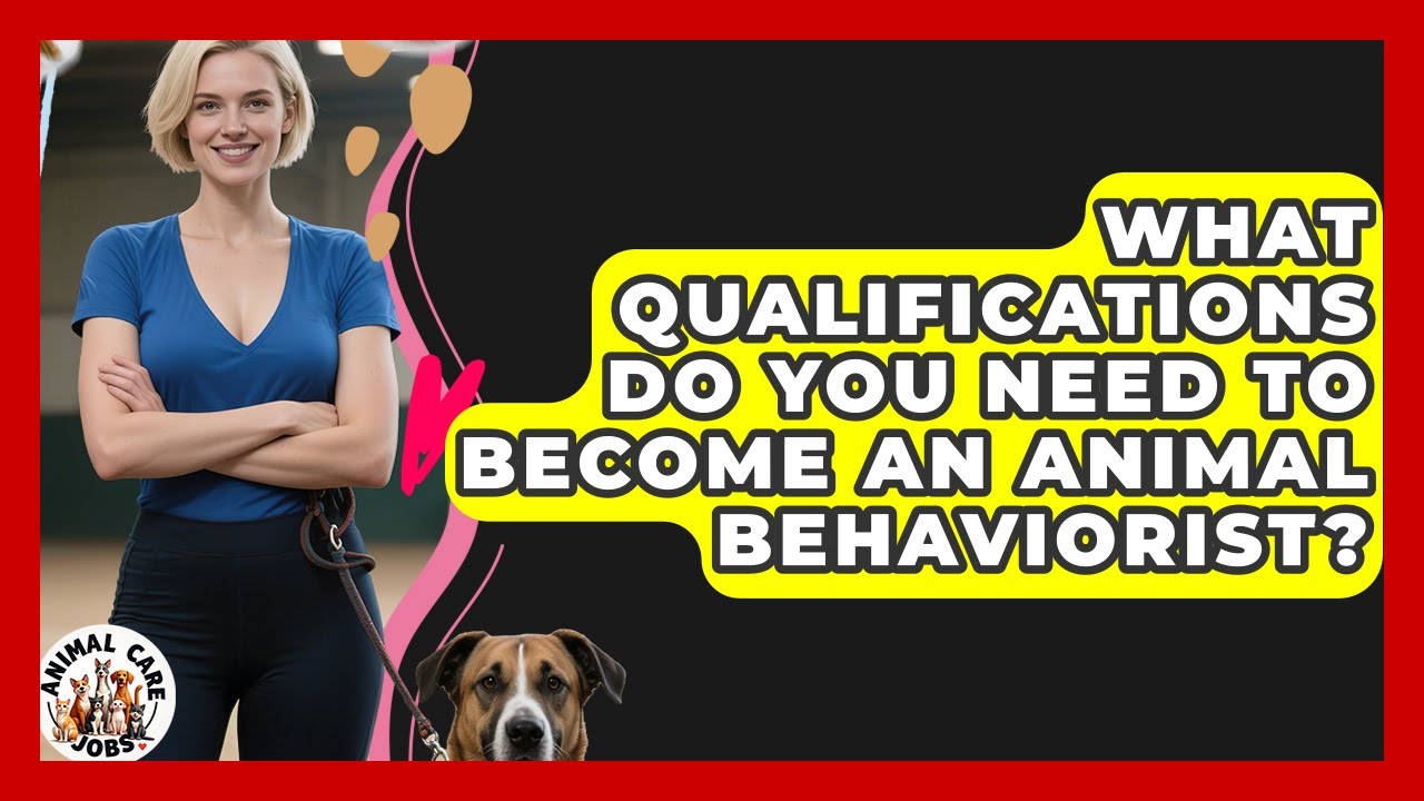 What Qualifications Do You Need to Become an Animal Behaviorist? | Animal Care Jobs