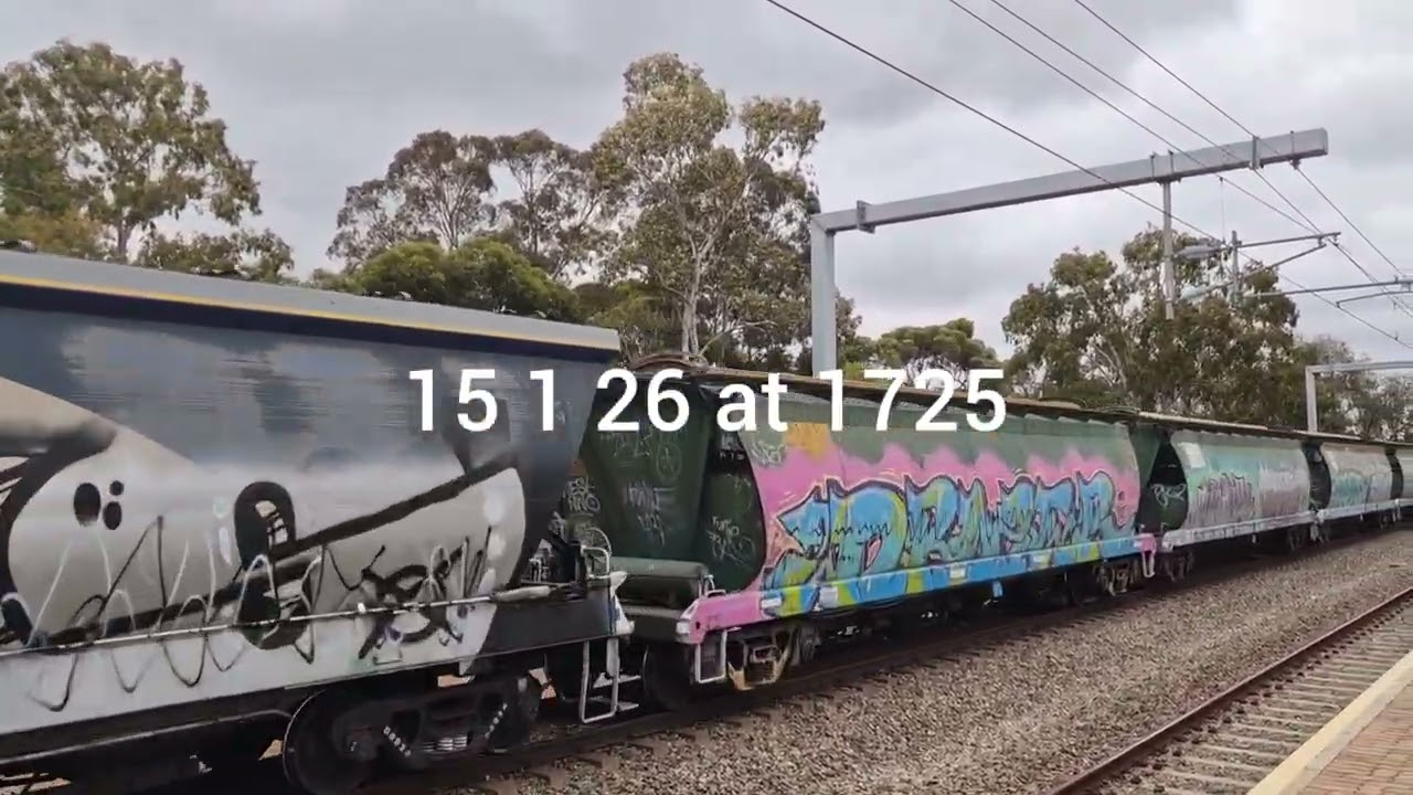 CLP8 CLP17 And CLP16 leading 5114S 