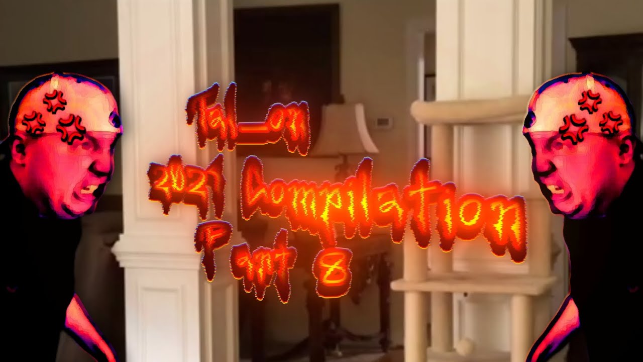 Tal_on 2024 Compilation (Part 8) Credits in the Description