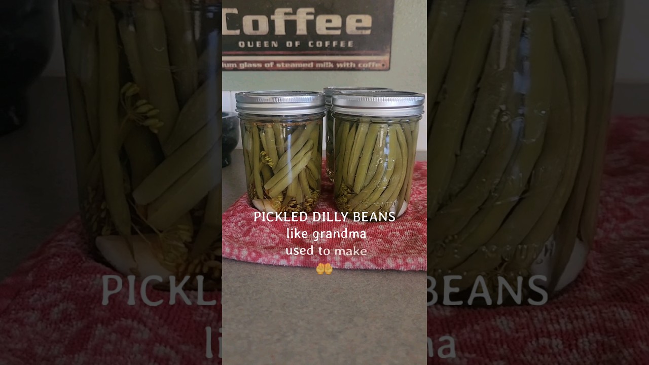 Making Garlic Dill Pickled Beans 👌 