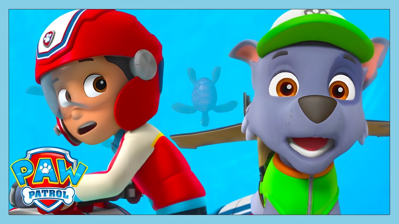 Turtle Rescue! | Paw Patrol | WildBrain Kids