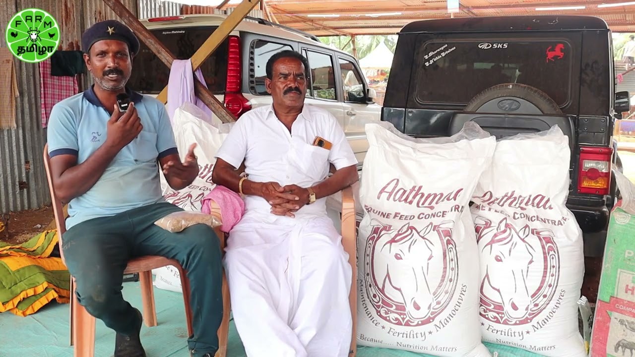 Anthiyur Horse Fair 2025 | Aathmaa Equine Feed Concentrate | Save Native Horses Mr. Balasubramanian
