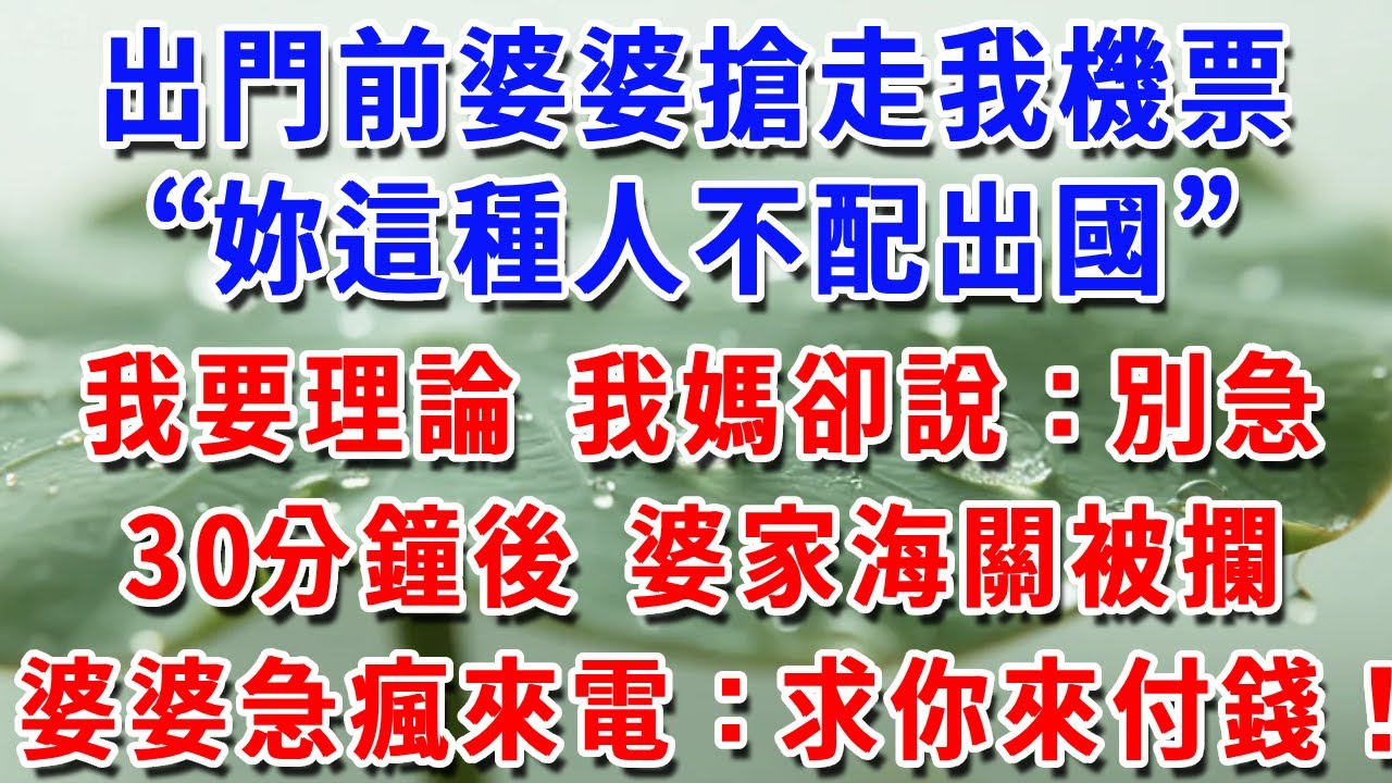 出門前婆婆搶走我機票“妳這種人不配出國”我要理論 我媽卻說：別急！30分钟後 婆家海关被拦婆婆急疯来电：求你来付钱！#一帆說故事 #為人處世 #生活經驗 #情感 #故事 #彩礼