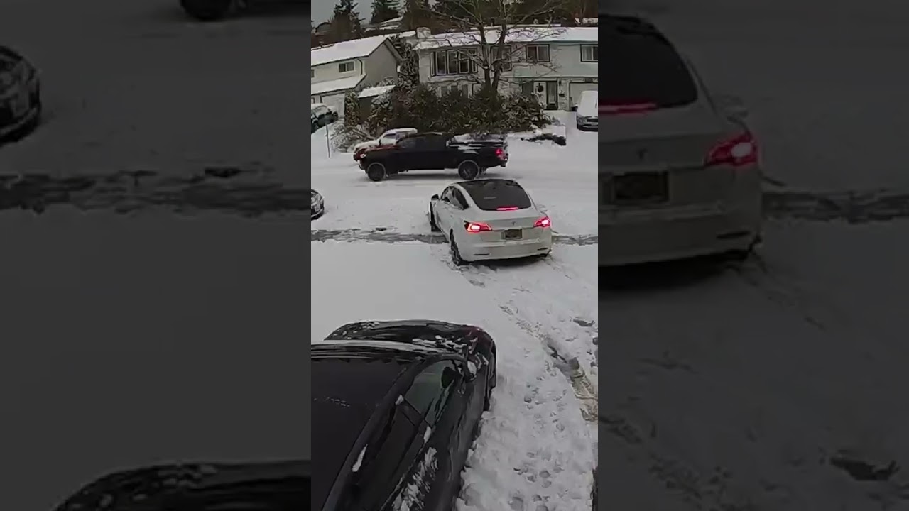 Tesla awd plus all weather tires #model3 #crossclimate2