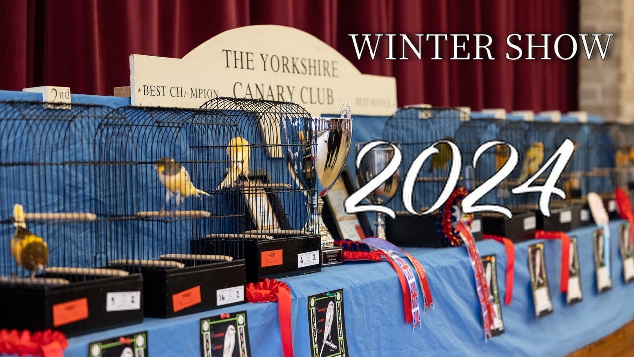 YORKSHIRE CANARY CLUB WINTER SHOW 2024