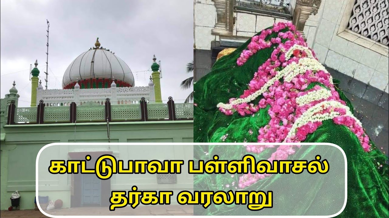 காட்டுபாவா பள்ளிவாசல் தர்கா வரலாறு ஹஜரத் பாவா பகுருதீன் (ரலி)