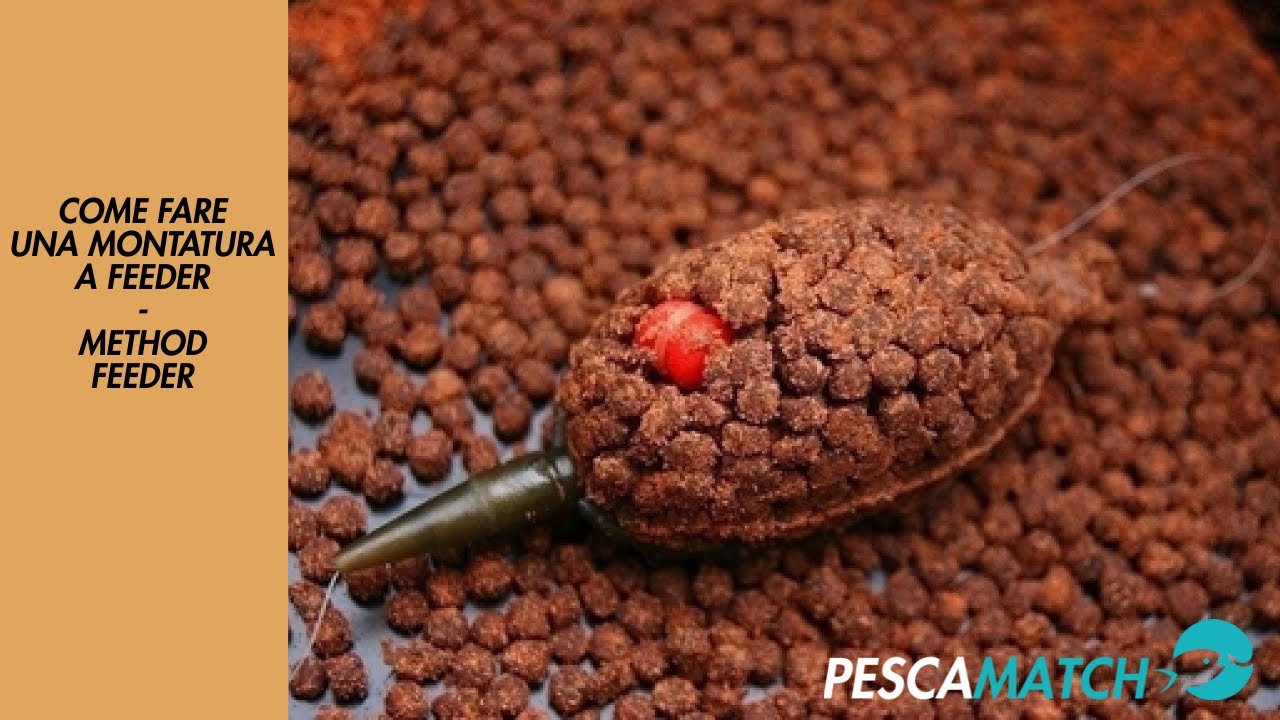 Come fare una montatura a Feeder | Method