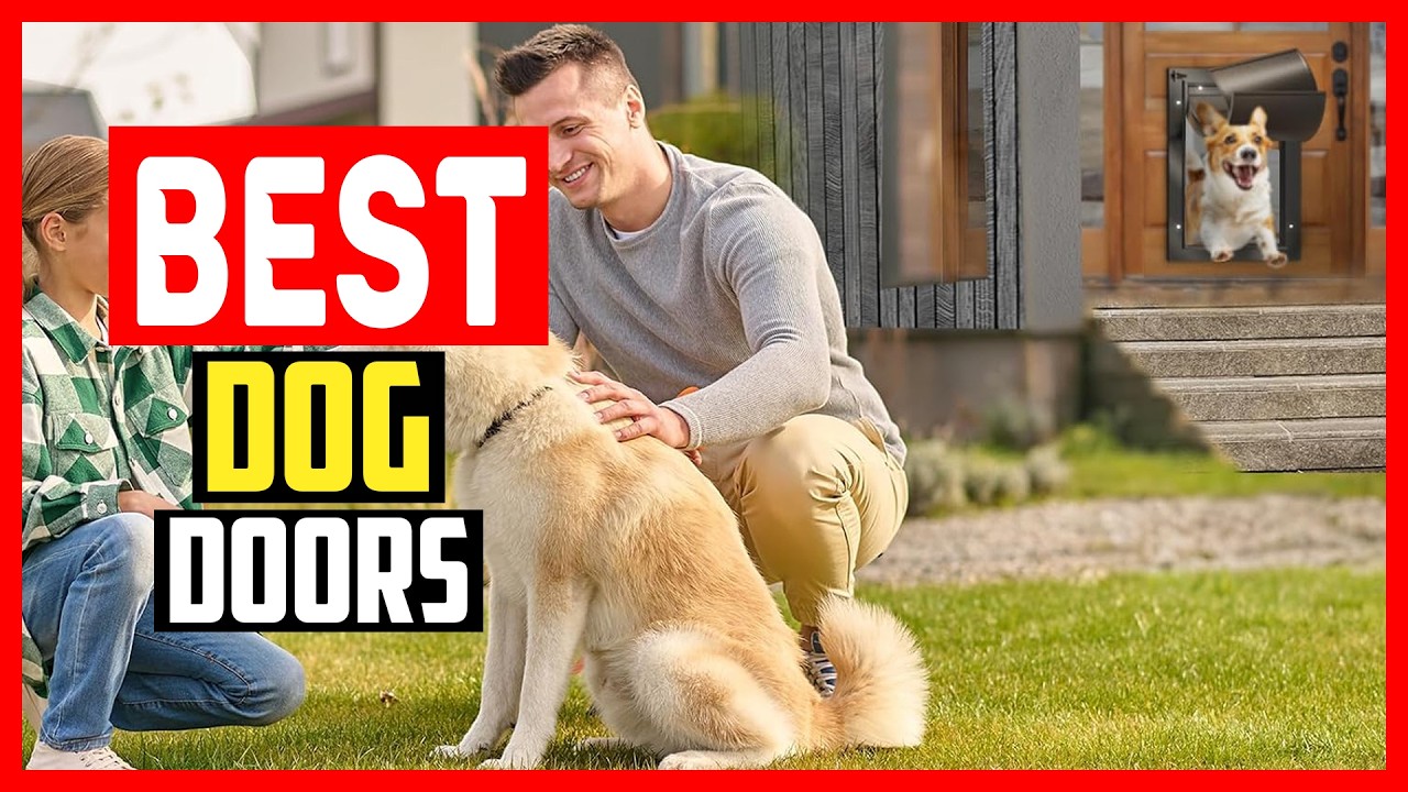 ✅Top 5 Best Dog Doors in 2026