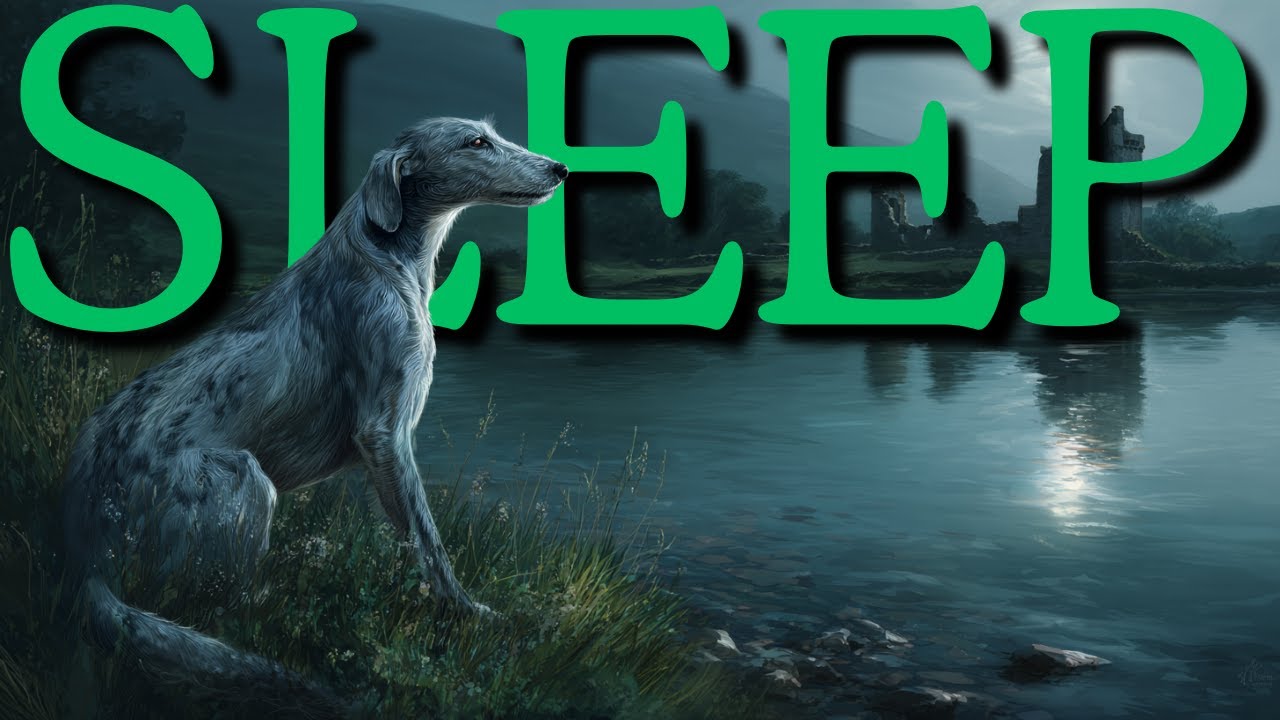 Irish folklore | The Dobhar-chú: Ireland's Water Hound