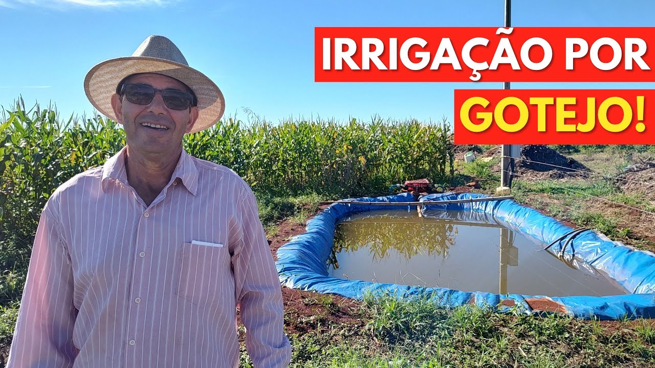 Irrigação: Quantidade de ÁGUA Necessária, por PLANTA no Milho Por DIA!