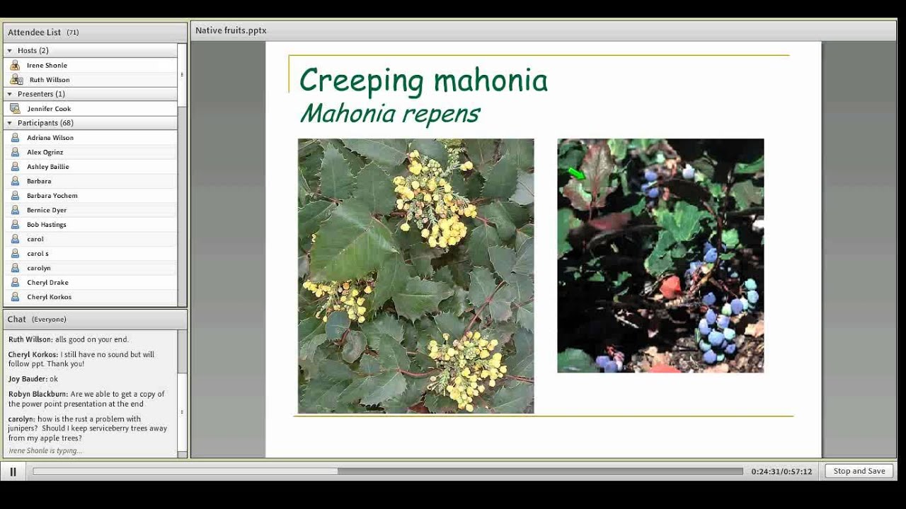 Colorado Native Fruits