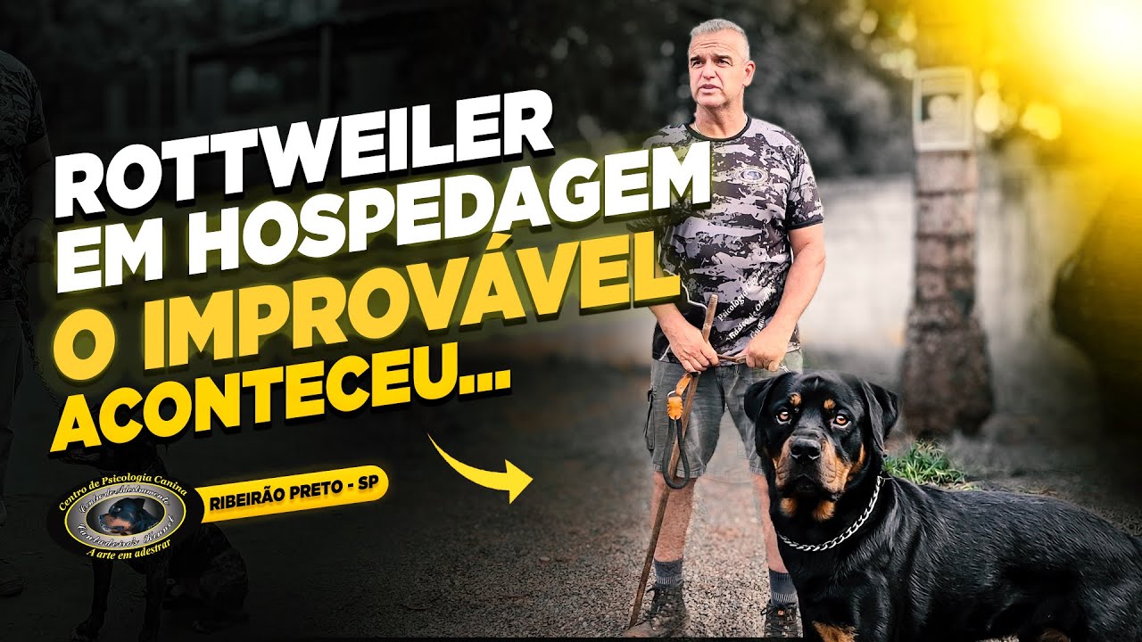 ROTTWEILER — DRAKEN — QUANDO A BASE É FORTE, O CÃO ENTREGA