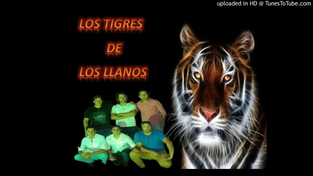 LOS TIGRES DE LOS LLANOS-EL DÍA MAS TRISTE
