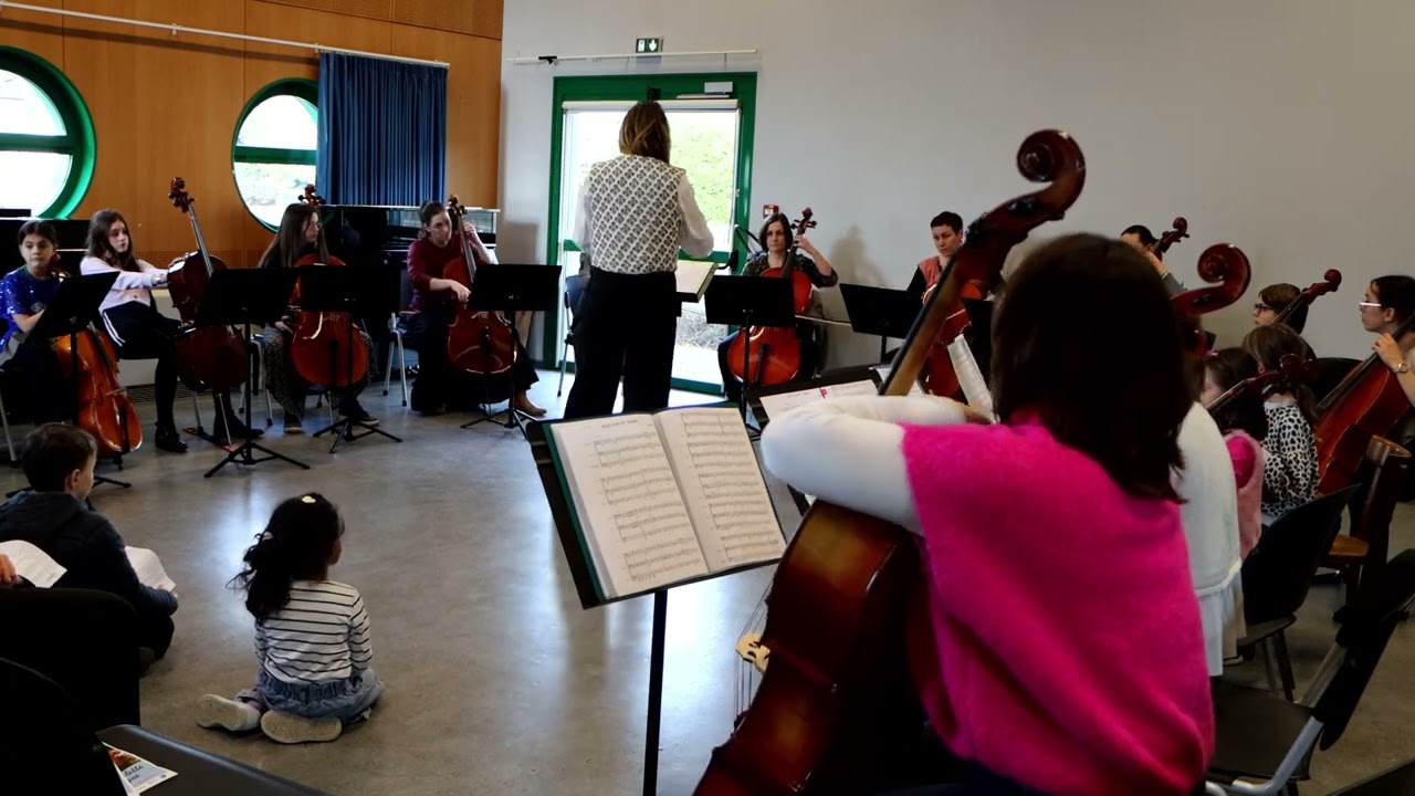 ensemble cello galette 26 strings split by lalalai