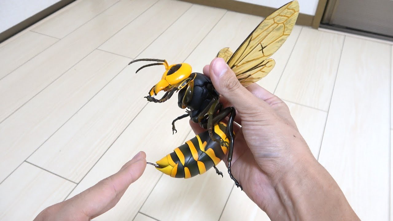 異常に巨大なオオスズメバチに刺されてみた