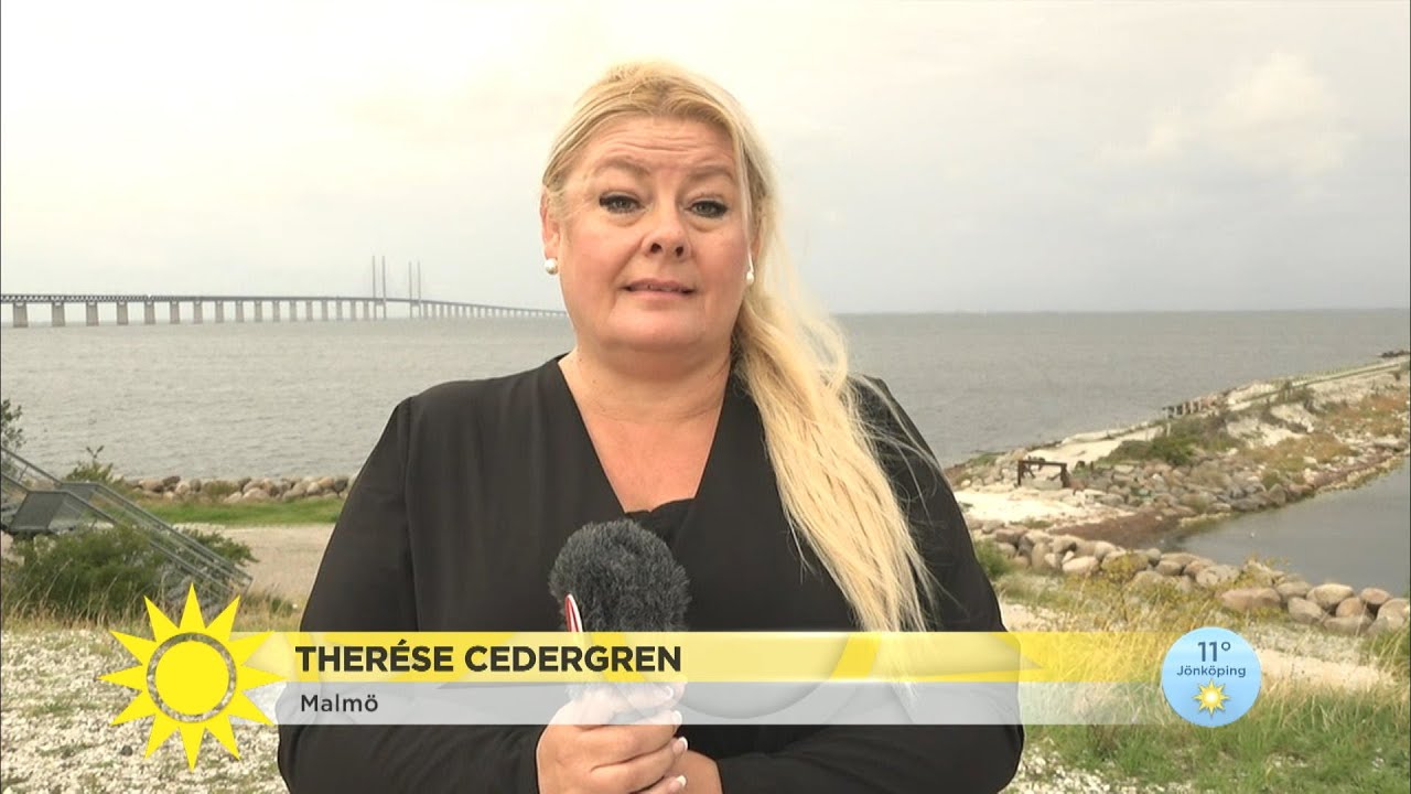 SD:s framgångar i Skåne: ”Folk vill inte säga högt att de röstar på Sverigedemo - Nyhetsmorgon (TV4)