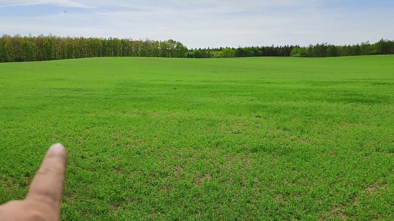 Zboża Jare Po Nostrzyku Dwu Letnim Czy Różnią się od Konwencjonalnej Uprawy ? # 126