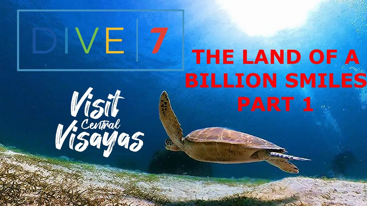 Best SCUBA Diving in Bohol, Philippines!!! Part 1 Dive7 Fam Tour