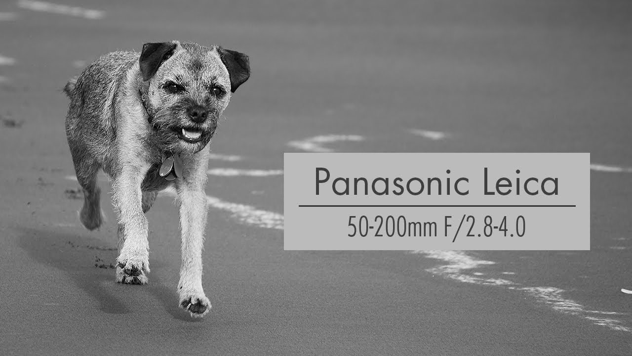 Panasonic Leica 50-200mm F/2.8-4.0 | Lumix G9 | Обзор