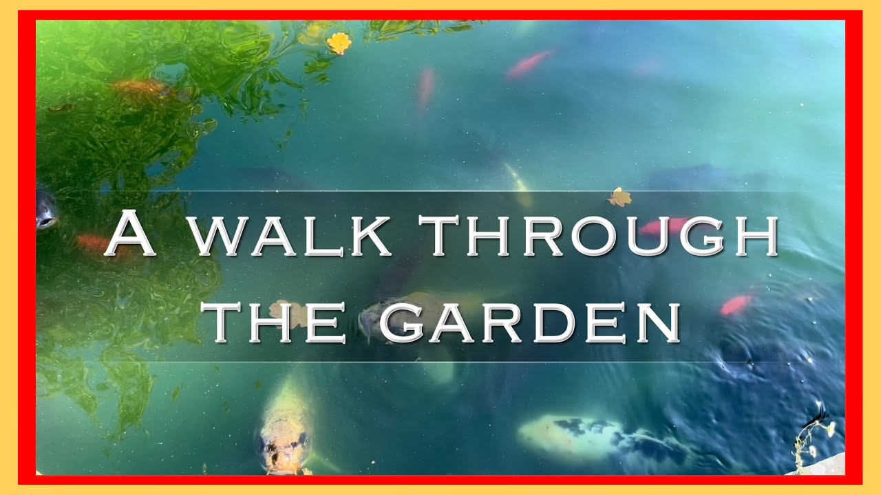 A walk through the garden