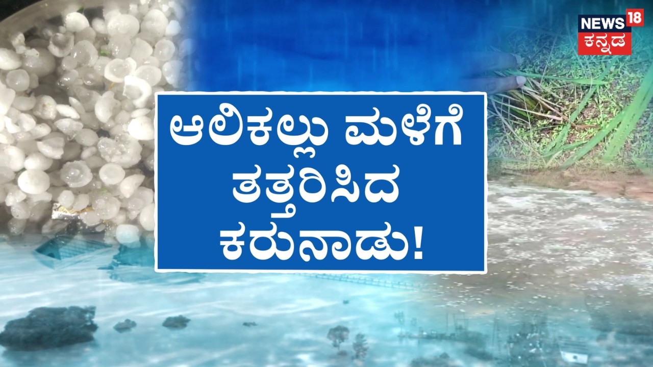 Heavy Rain In Karnataka | ನೆಲ ಕಚ್ಚಿದ ಬಾಳೆ.. ಅನ್ನದಾತರು ಕಂಗಾಲು | Rain Effect | News18 Kannada