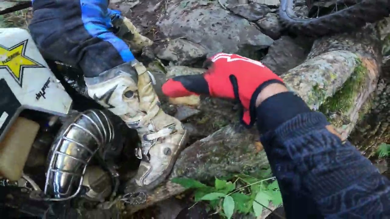 6 февраля 2026 г.