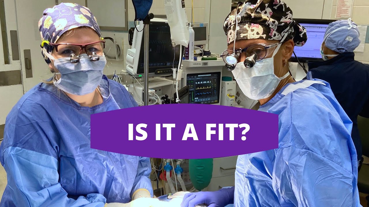 Is Otolaryngology a Fit for ME?