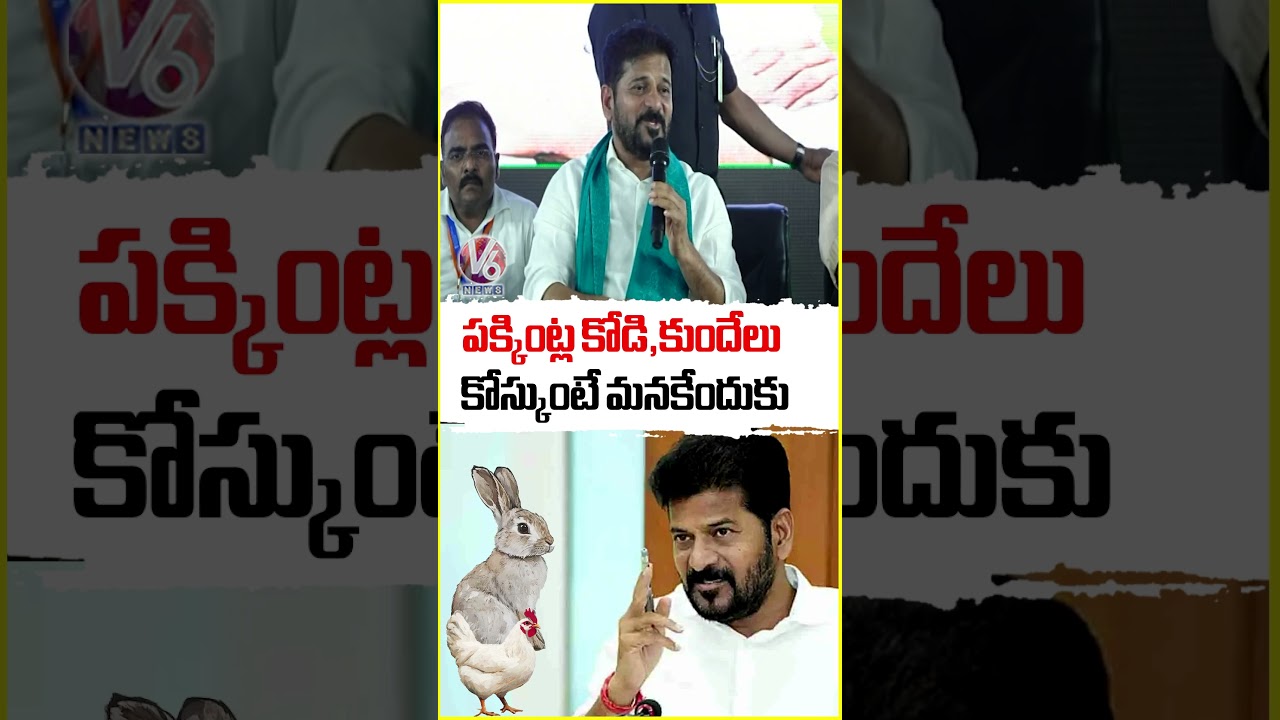 పక్కింట్ల కోడి,కుందేలు కోస్కుంటే మనకేందుకు | CM Revanth Reddy | V6 News