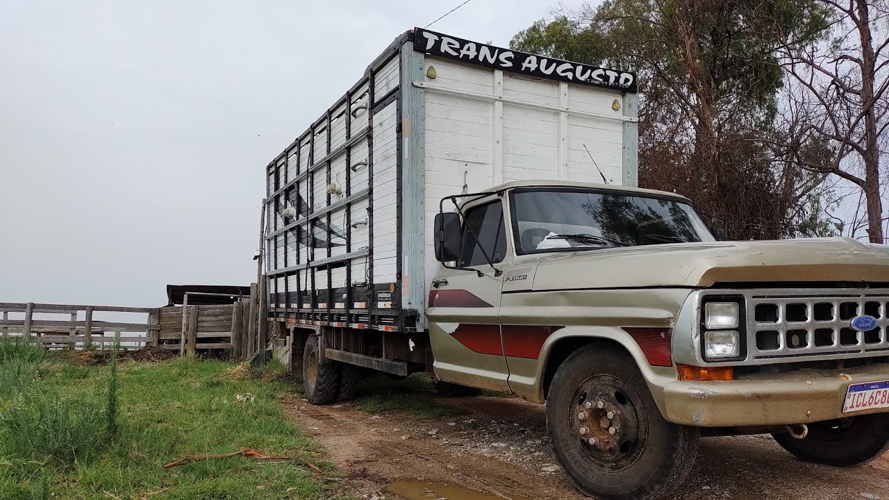 Ford F4000 ano 1986!!!