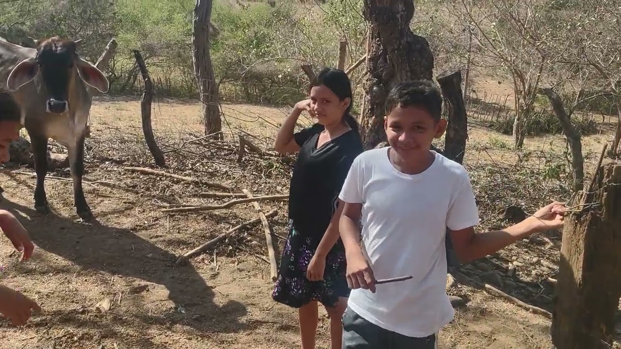 Aquí regresamos con otro bonito video 😃✌️