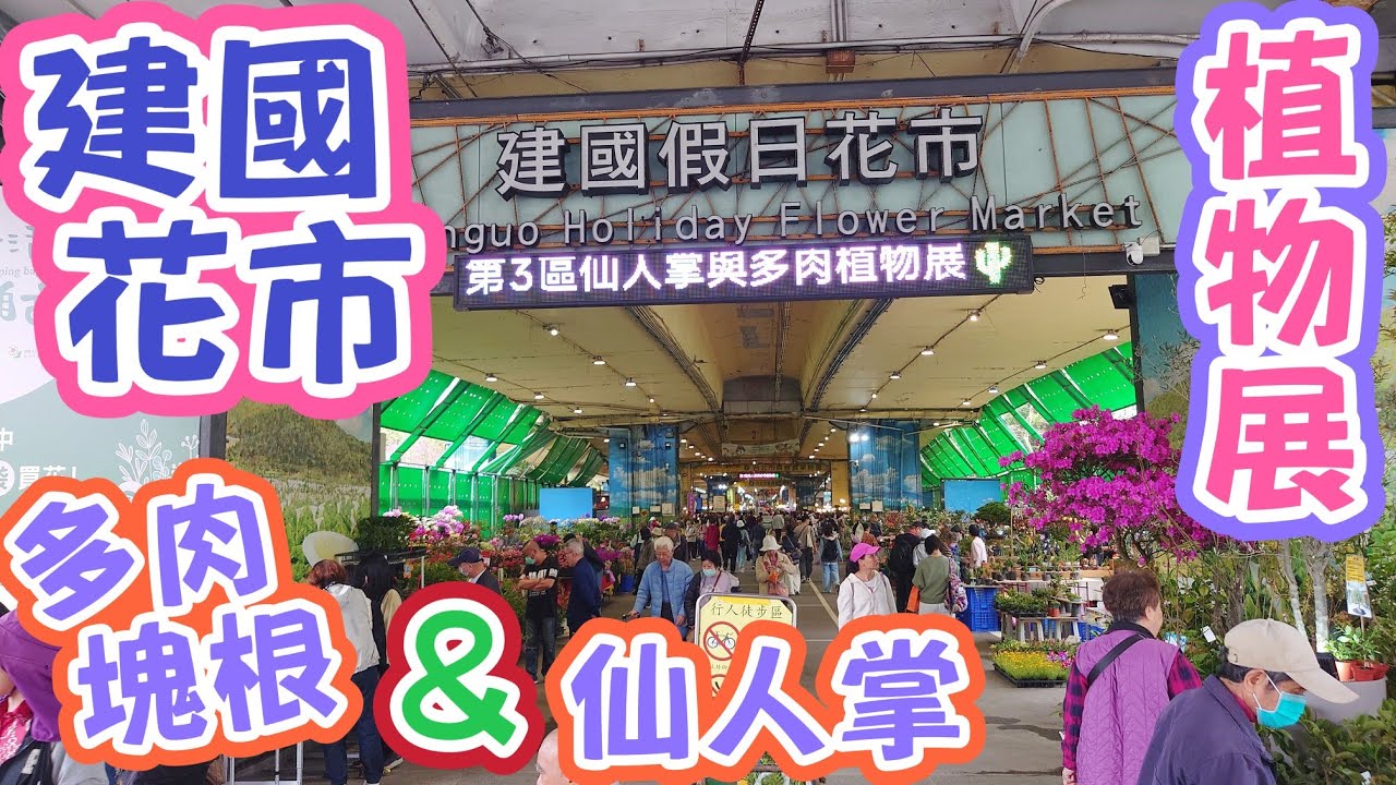 ［跟著阿郁逛］建國花市多肉塊根植物展#塊根#塊根植物#台北#龍舌蘭#多肉植物#多肉#盆景#盆栽#沙漠玫瑰#花園#植物#植物燈#生活#開箱#療癒#鹿角蕨#觀葉植物#花市#園藝#教學#日常#開箱#鹿角蕨