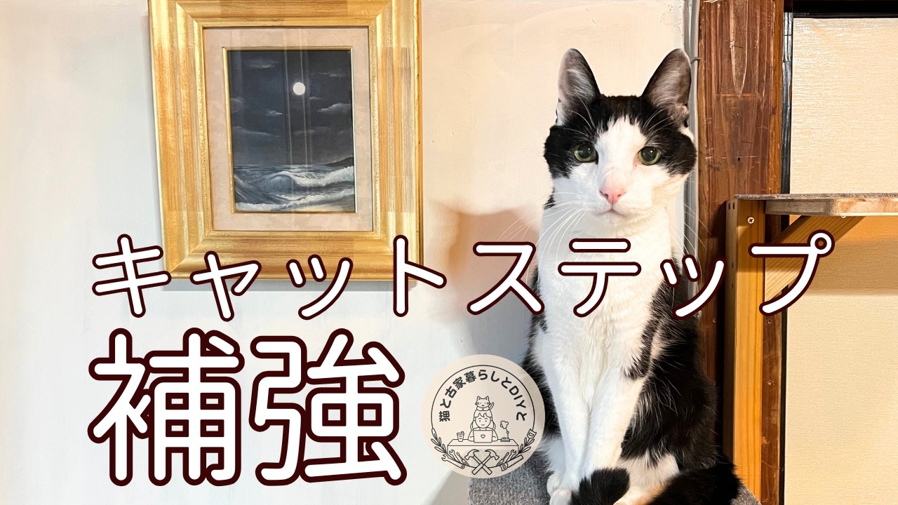 【DIY】キャットステップを改良して強度アップ！