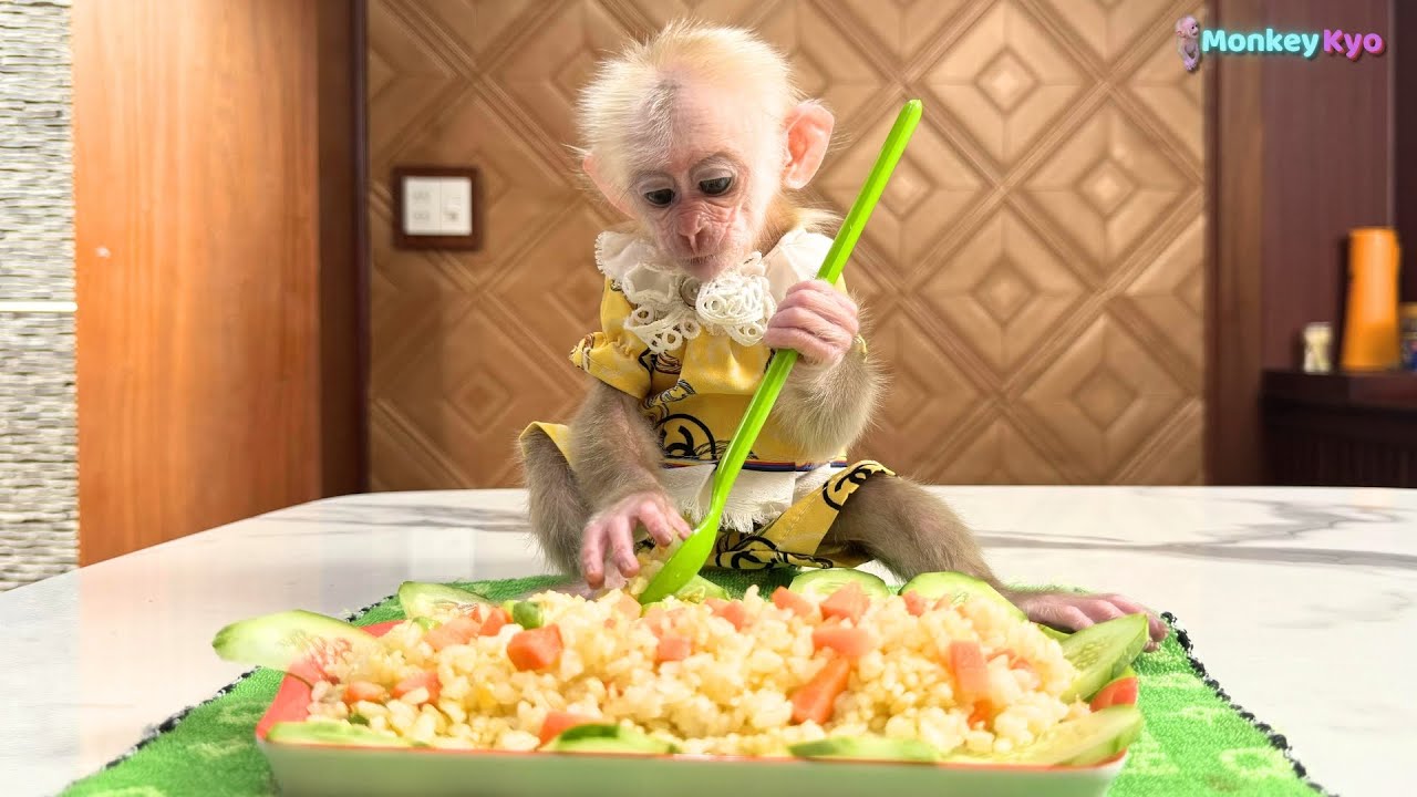 Monkey Kyo's simple but very delicious lunch!