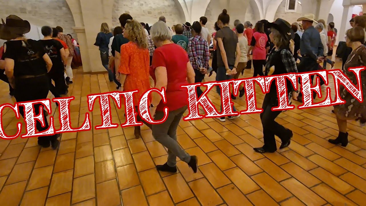CELTIC KITTEN à Pernes les fontaines le 22 Février 2025