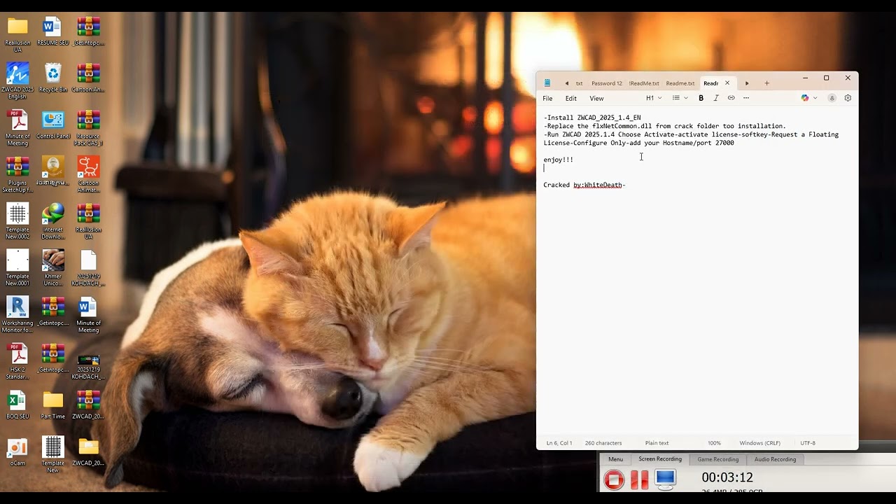 How to install ZWCAD 2025 part 1